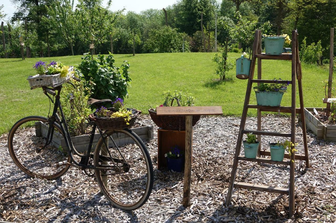 Le Manoir Des Aromes Hotel Brugny-Vaudancourt Bagian luar foto