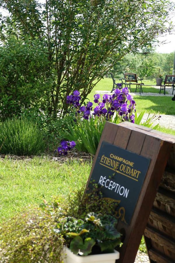 Le Manoir Des Aromes Hotel Brugny-Vaudancourt Bagian luar foto